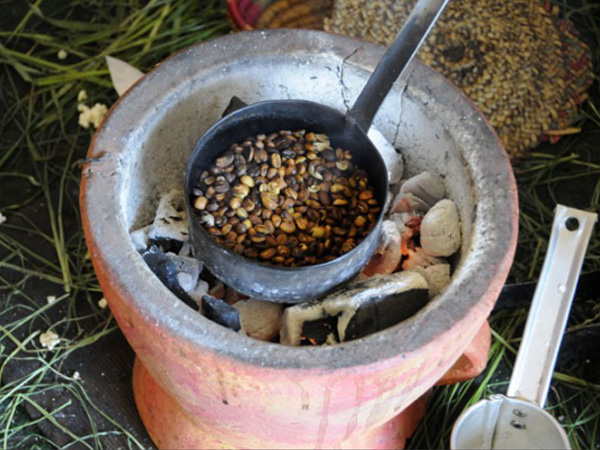 grains de café éthiopiens