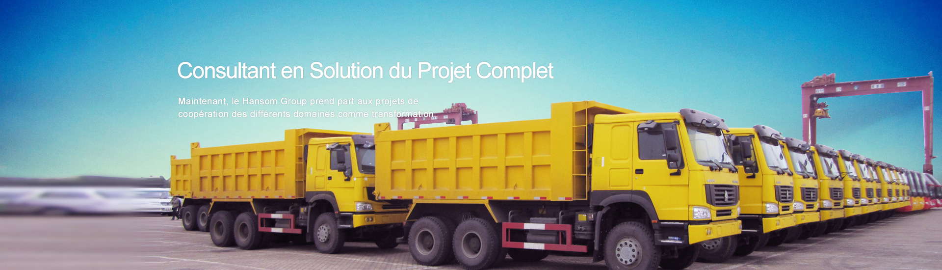 Consultant en solution du projet complet