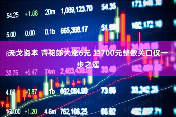 天戈资本 青花郎大涨6元 距700元整数关口仅一步之遥