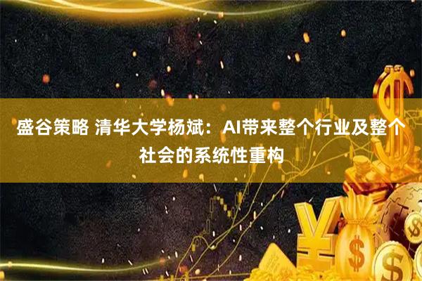 盛谷策略 清华大学杨斌：AI带来整个行业及整个社会的系统性重构