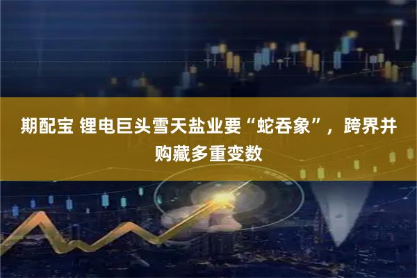 期配宝 锂电巨头雪天盐业要“蛇吞象”，跨界并购藏多重变数